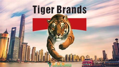 tiger brands vacancies